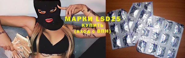 винт Лабытнанги