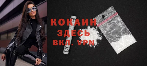 винт Лабытнанги