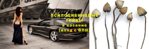 винт Лабытнанги