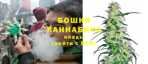 винт Лабытнанги